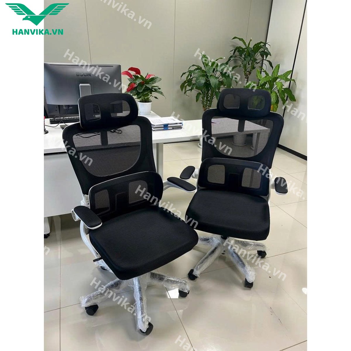 ghe-cong-thai-hoc-hvk-s05-mau-trang-2