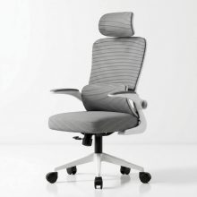 Ghế Công Thái Học Cao Cấp HVK-S05 – Màu ghi