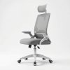 Ghế Công Thái Học Màu Ghi Cao Cấp – HVK-S04